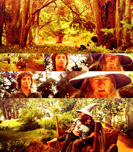  Frodo and Gandalf