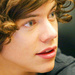 Harry icon - one-direction icon