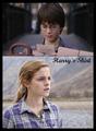 Harry's shirt - harry-potter-vs-twilight fan art