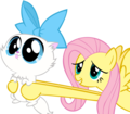 Its dangerous to go alone.... - my-little-pony-friendship-is-magic photo