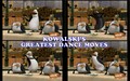 KOWALSKI'S GREATEST DANCE MOVES - penguins-of-madagascar fan art