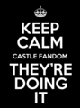 Keep Calm :) - castle fan art