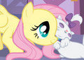 MLP - my-little-pony-friendship-is-magic photo