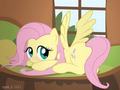 MY little pony! - my-little-pony-friendship-is-magic photo