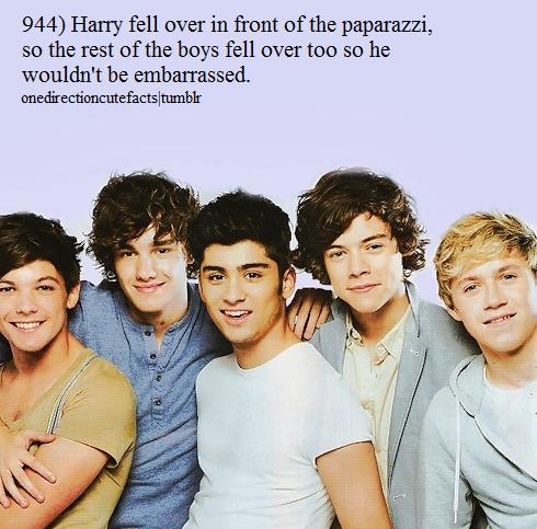  Direction Facts on One Direction Facts       One Direction Photo  30728125    Fanpop