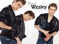 Paul Wesley <3 - paul-wesley photo