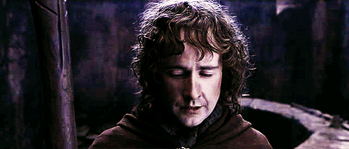 Pippin-lord-of-the-rings-30757584-500-213.gif