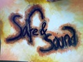 Safe & Sound - the-hunger-games photo