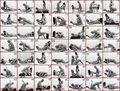 SexPositions - sex-and-sexuality photo