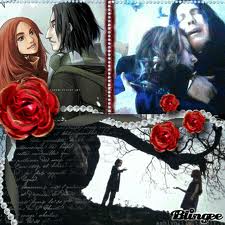  Snape & Lily x x