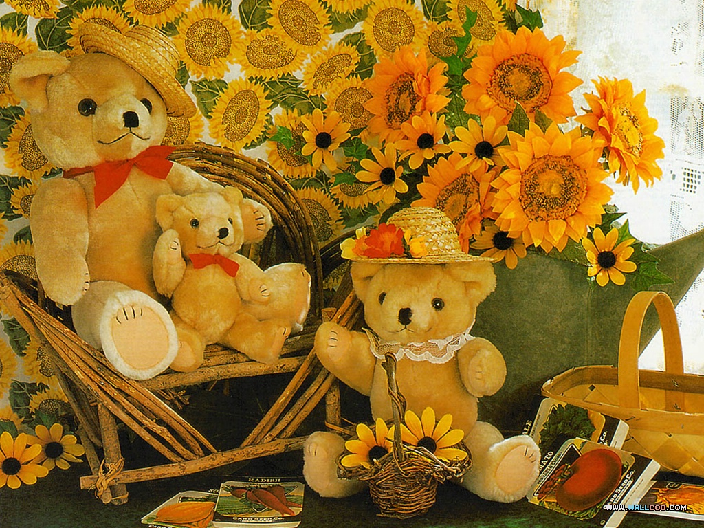 http://images5.fanpop.com/image/photos/30700000/Teddy-bears-stuffed-animals-30773523-1024-768.jpg