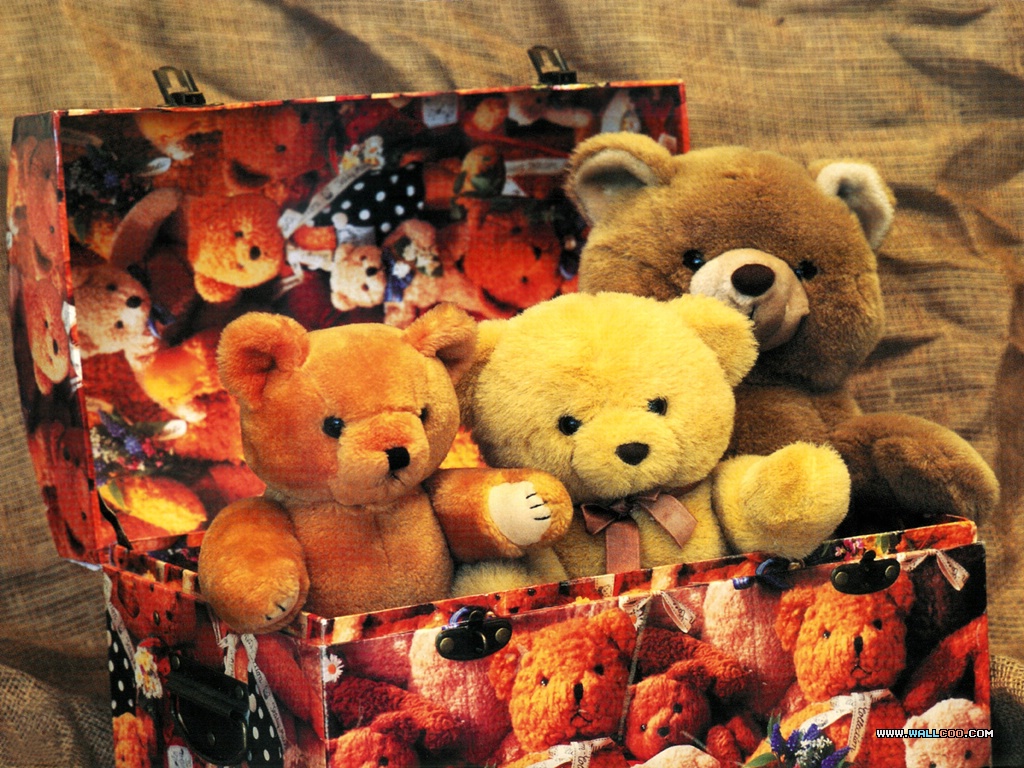 Stuffed Animals Teddy bears