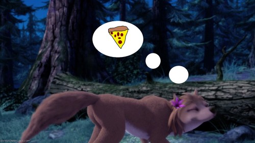 kate love پیزا