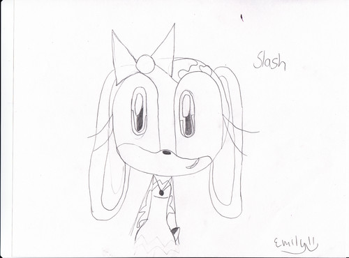  Slash the rabbit (me)