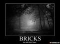 bricks - lol photo