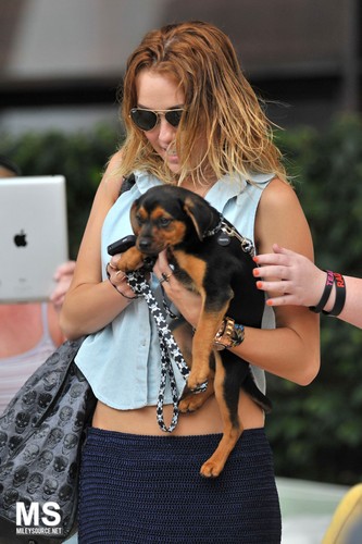  15/05 Leaving Her Hotel In Miami, Florida