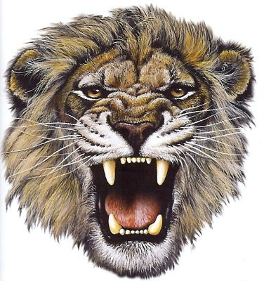  Angry Lion