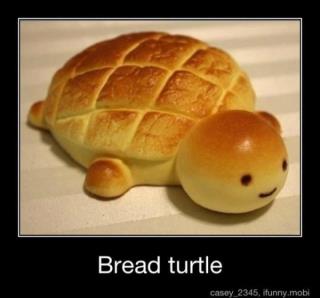  bánh mỳ, bánh mì rùa, con rùa