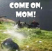 Come On, Mom! - brave icon