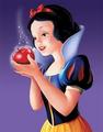 Disney Princess-Snow White - disney photo