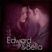 Edward & Bella - twilighters icon