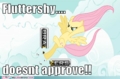 Fluttershy does not approve rule 34 - my-little-pony-friendship-is-magic photo