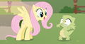 Fluttershy meets Jade - my-little-pony-friendship-is-magic fan art