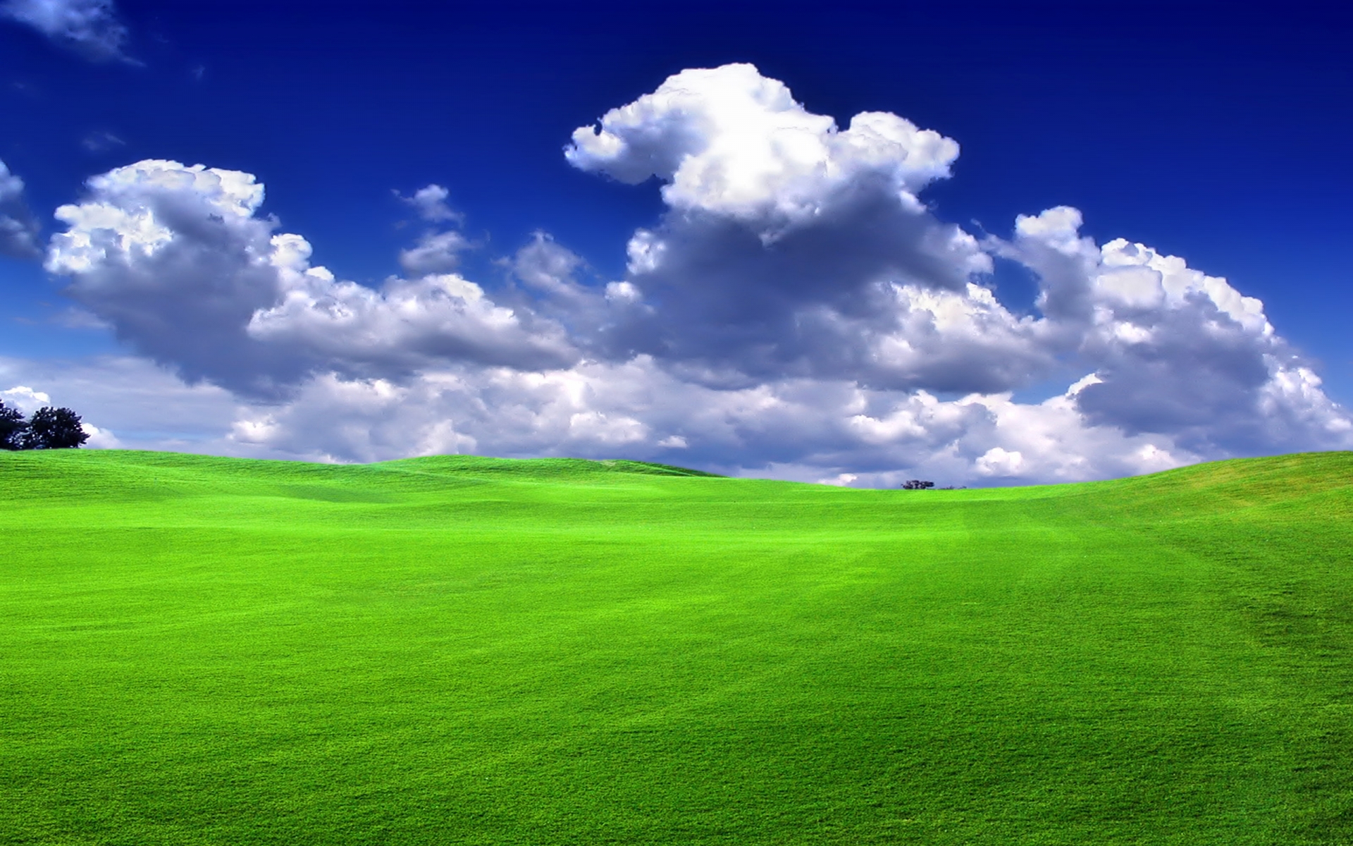 Grass & nature view - grass Wallpaper (30826213) - Fanpop