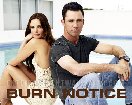 Michael & Fiona [Burn Notice] <333