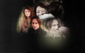 once-upon-a-time - Mr. Gold & Belle wallpaper
