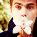 Paul Wesley- Mr Porter  - the-vampire-diaries-tv-show icon