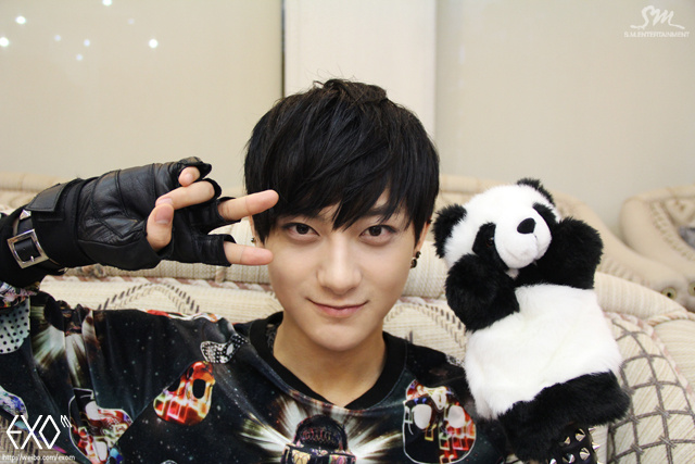 Is there any other panda in kpop - Random - OneHallyu