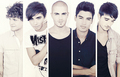 The Wanted!!! - the-wanted photo
