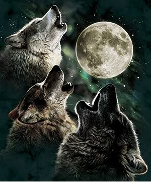 howling at the moon