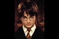 ~Harry Potter~ - harry-potter photo