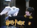 ~Harry and Hedwig~ - harry-potter photo