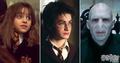~Hermione, Harry, and Voldemort~ - harry-potter photo