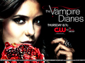 the-vampire-diaries-tv-show - ►TVD by DaVe◄ wallpaper
