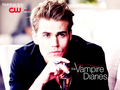 the-vampire-diaries-tv-show - ►TVD by DaVe◄ wallpaper