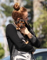 24/05 Shopping For New Doggy Toys In Studio CIty - miley-cyrus photo