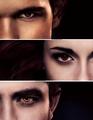 BD 2 new images - twilight-series photo