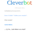Cleverbot Conversation - random photo