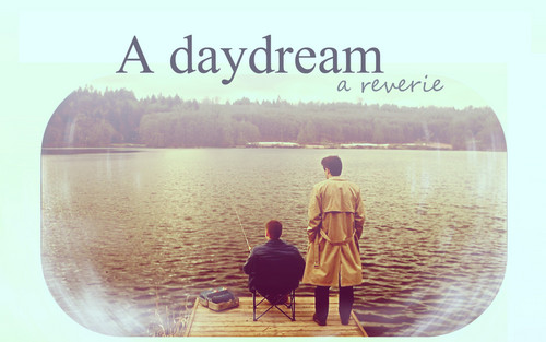  Daydream