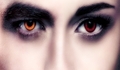 Edward adn Bella Cullen face - twilight-series fan art