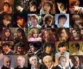 Harry Potter Characters - harry-potter photo