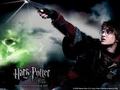 Harry Potter and the Goblet of Fire - harry-potter photo