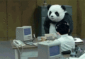 China's Panda Attacks - fandoms fan art