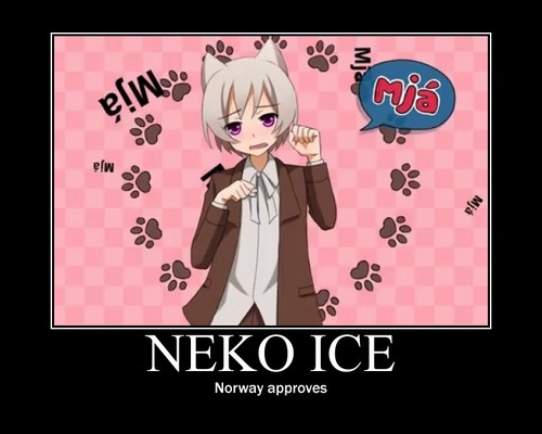  Neko Ice
