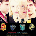 Neville, Luna, Draco, and Cedric - harry-potter photo