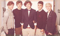 One Directon :) - one-direction photo